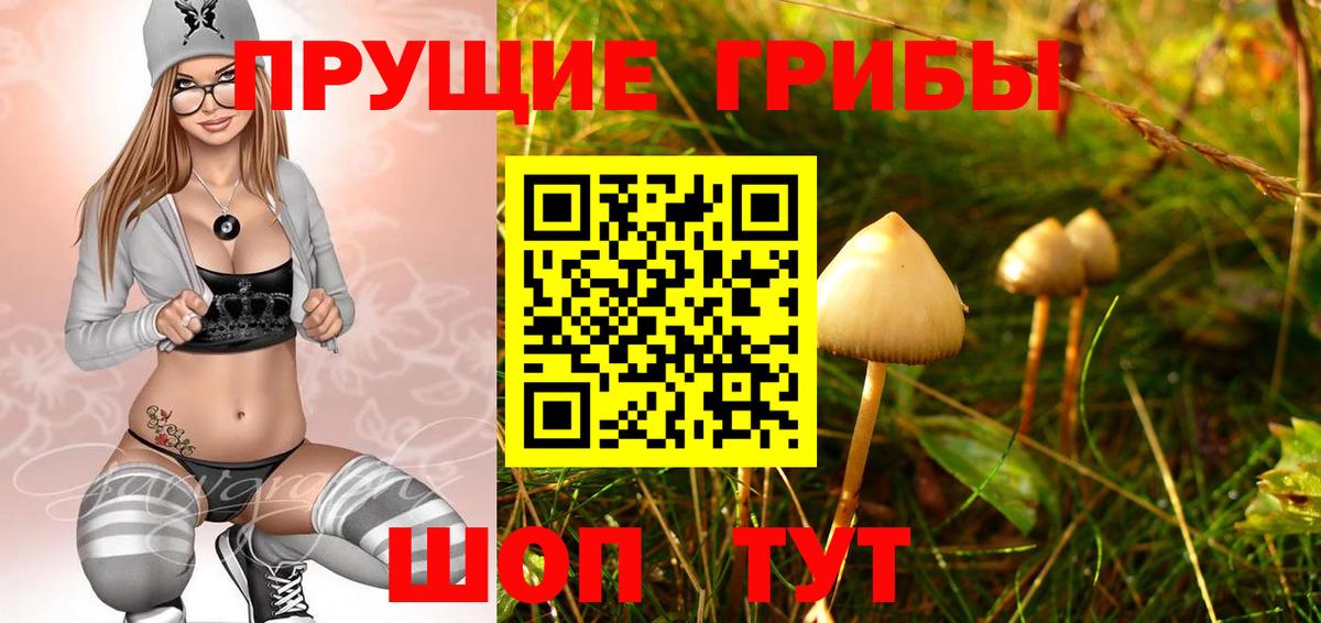 Псилоцибиновые грибы прущие грибы  Вход с VPN  Фурманов  Галлюциногенные грибы мухоморы 