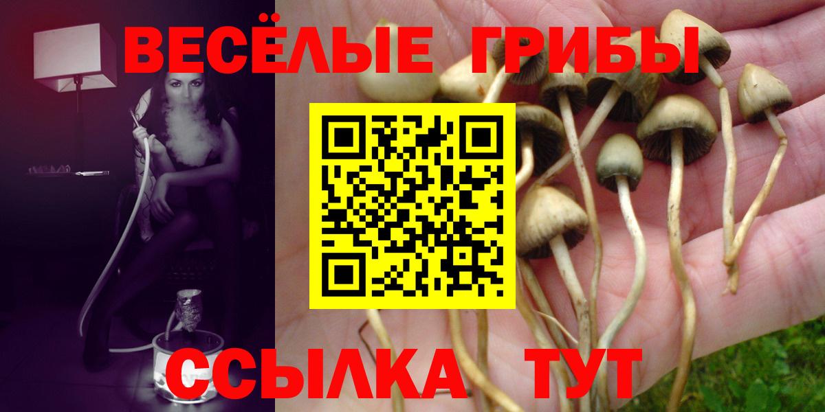 Псилоцибиновые грибы Psilocybe Фурманов